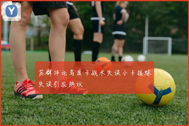 苏群评论乌度卡战术失误小卡接球失误引发热议